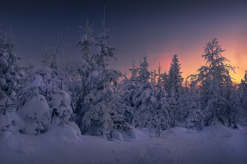 Winter фото превью