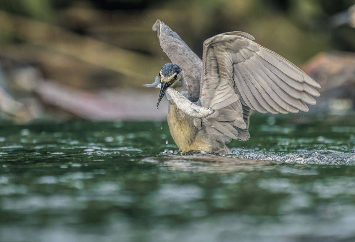 , Sławek Przybylski