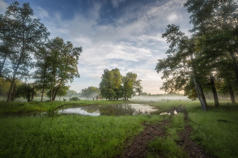 Весенний день фото превью