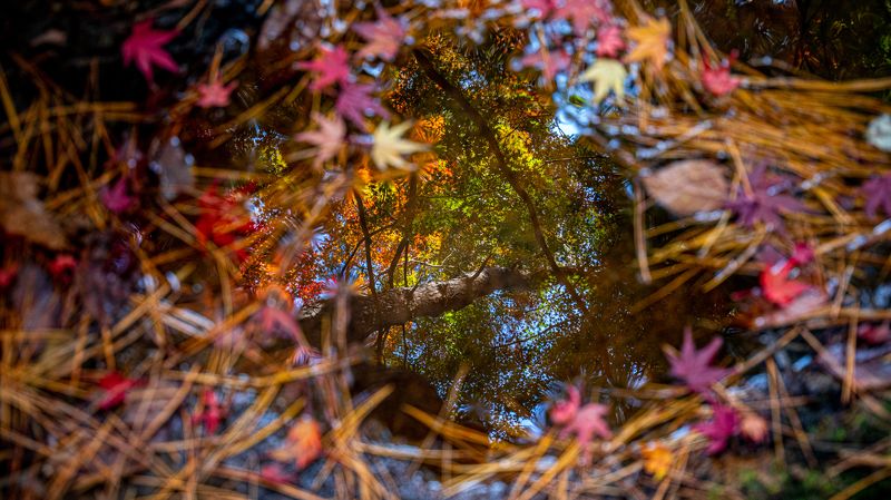 Let\'s get into the Autumn фото превью