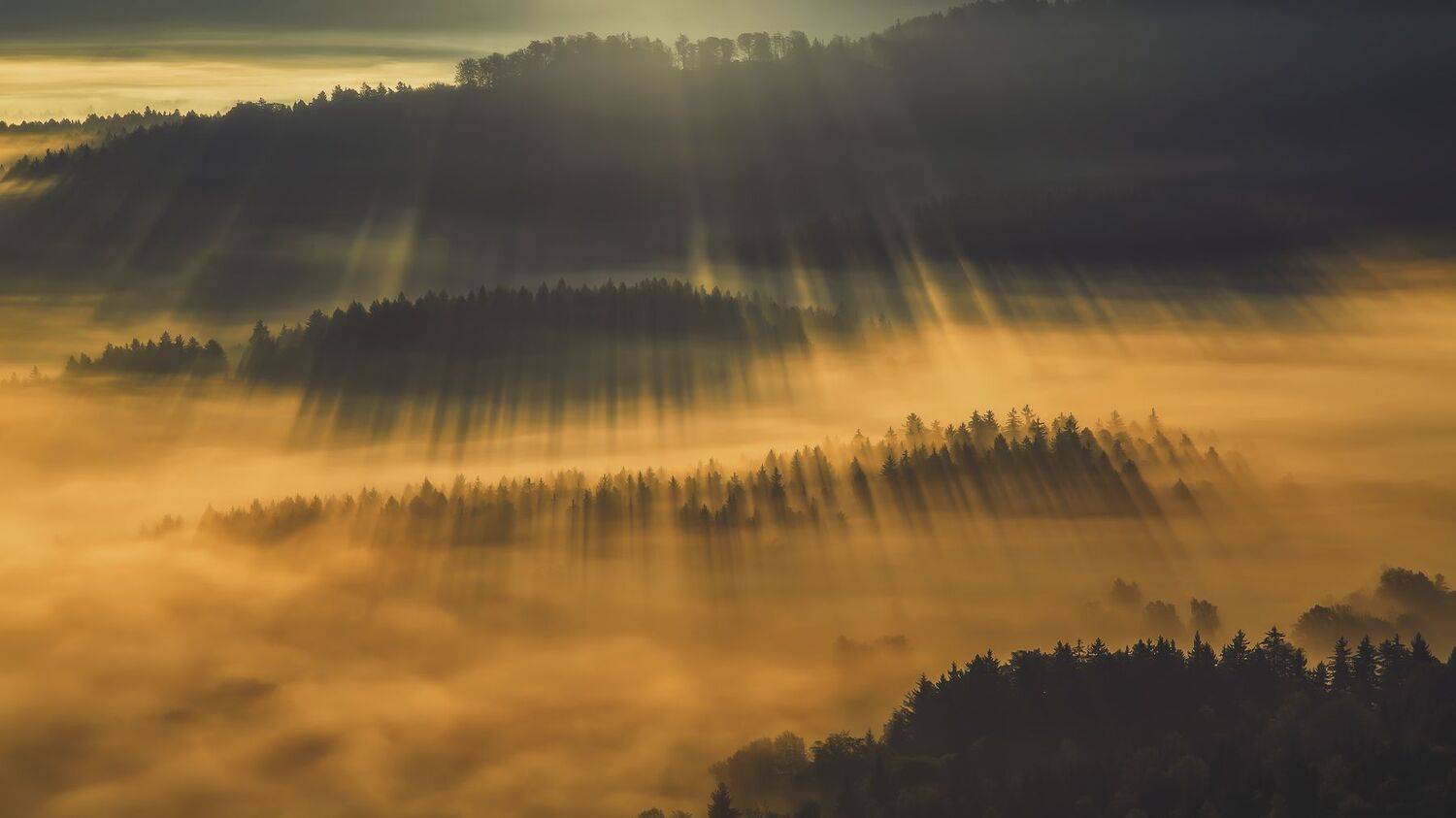 landscape,autumn,mountains,canon, Iza i Darek Mitręga