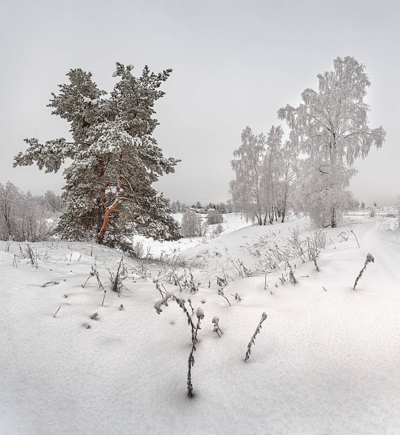, Николай Андреев