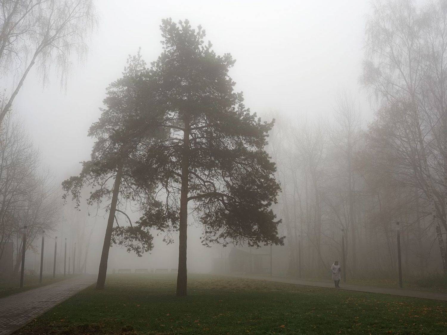 , Сергей Духанин