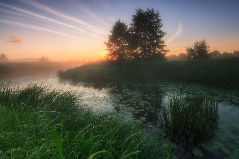 *** фото превью