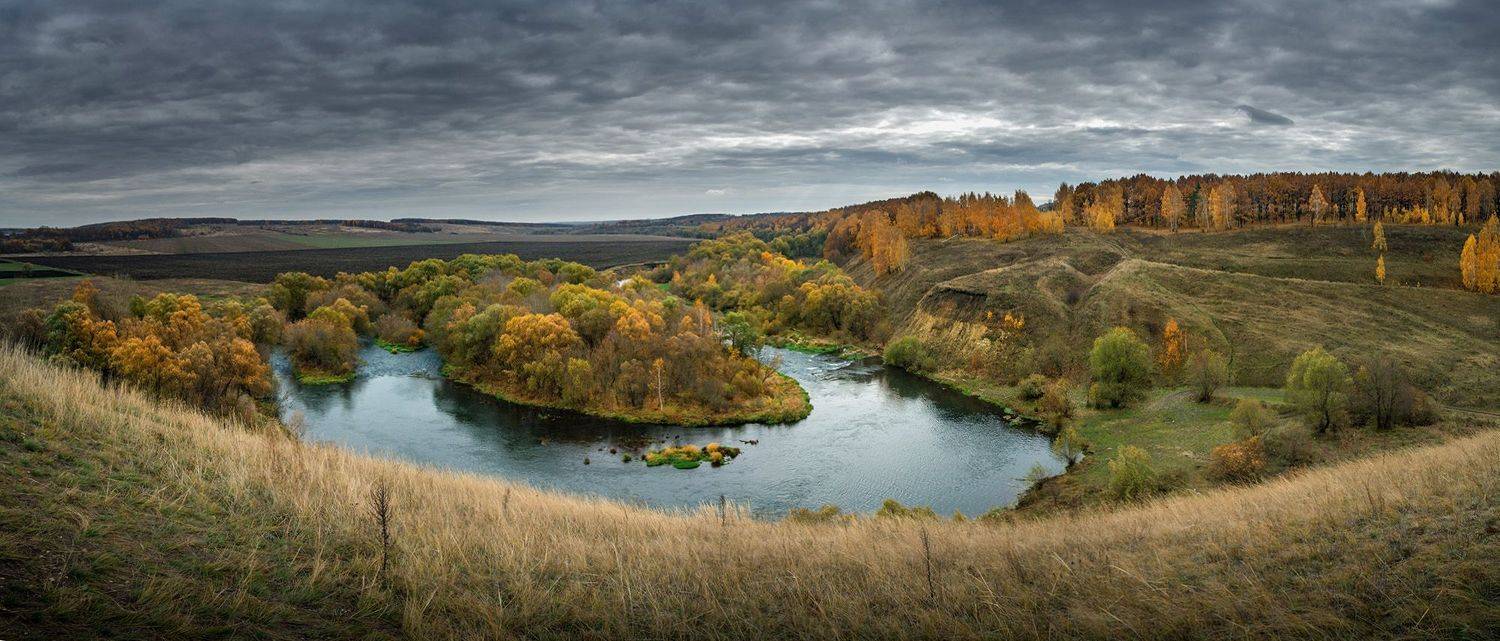 , Анатолий Зверев