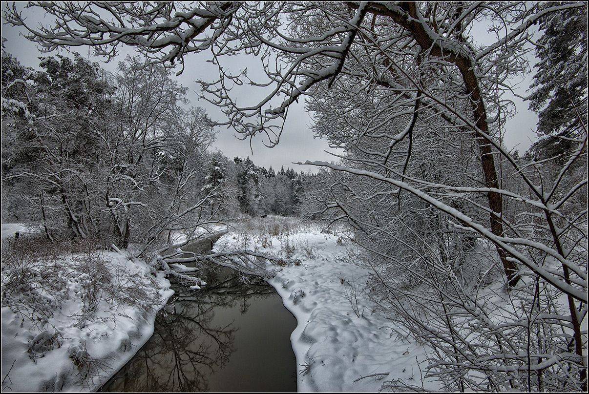 москва, зима, парк мещерский, лес, р.сетунь, АНАТОЛИЙ ДОВЫДЕНКО