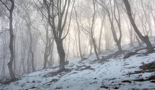 Солнце победит...