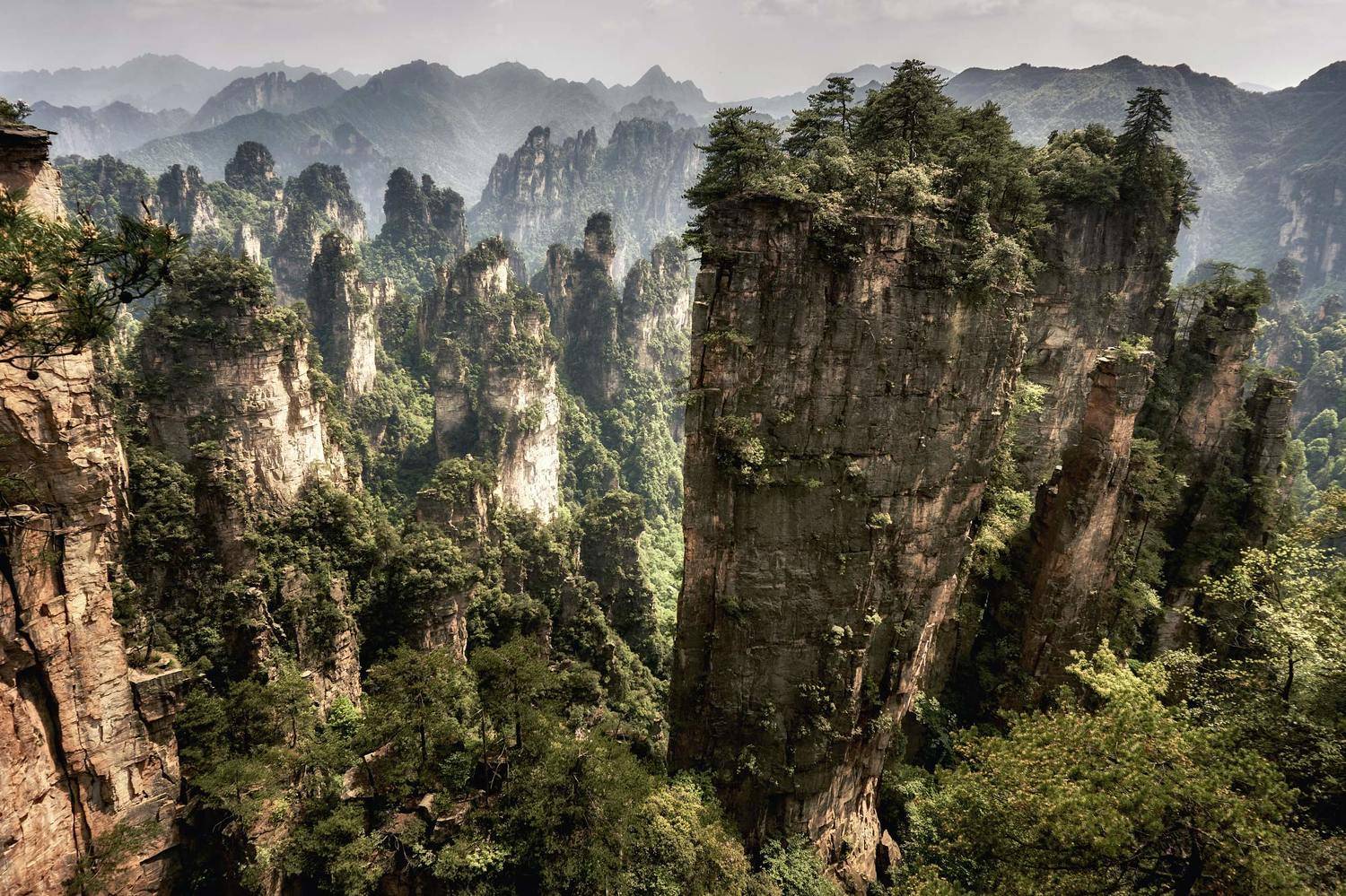 Китай, Чжанцзяцзе, Сергей Низовцев