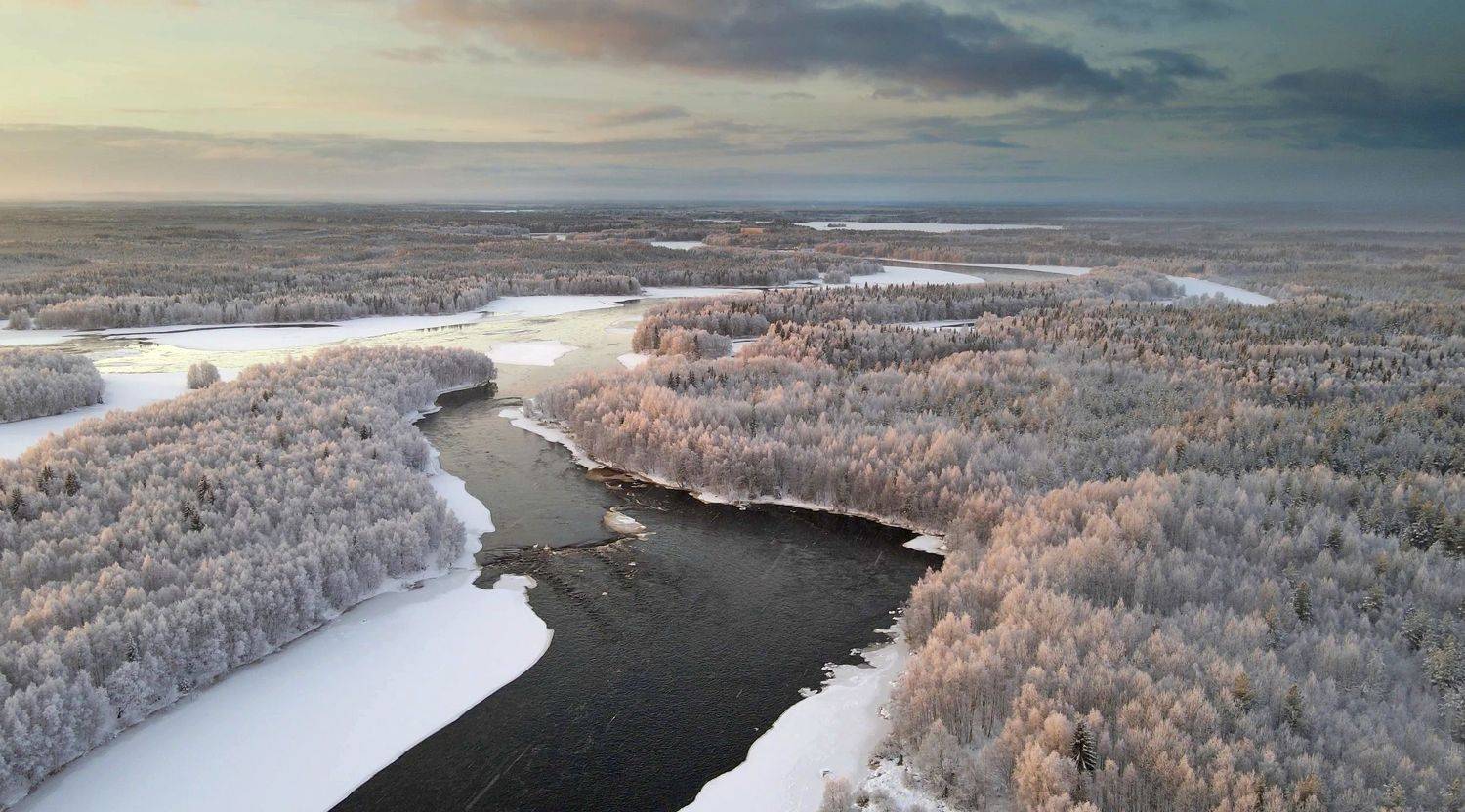 , Александр Коротков