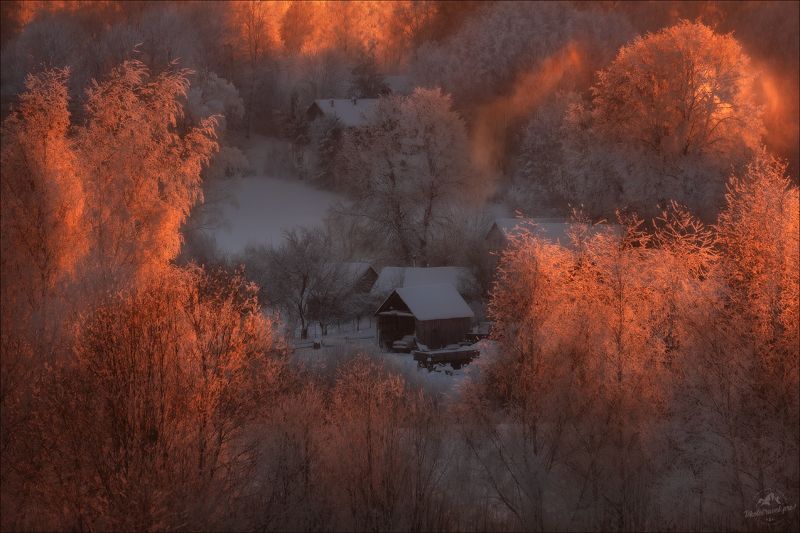 Пушкинские горы, Псковская область, Савкино, Михайловское, Тригорское Петровское, зима, Пушкин Рождение света .. фото превью