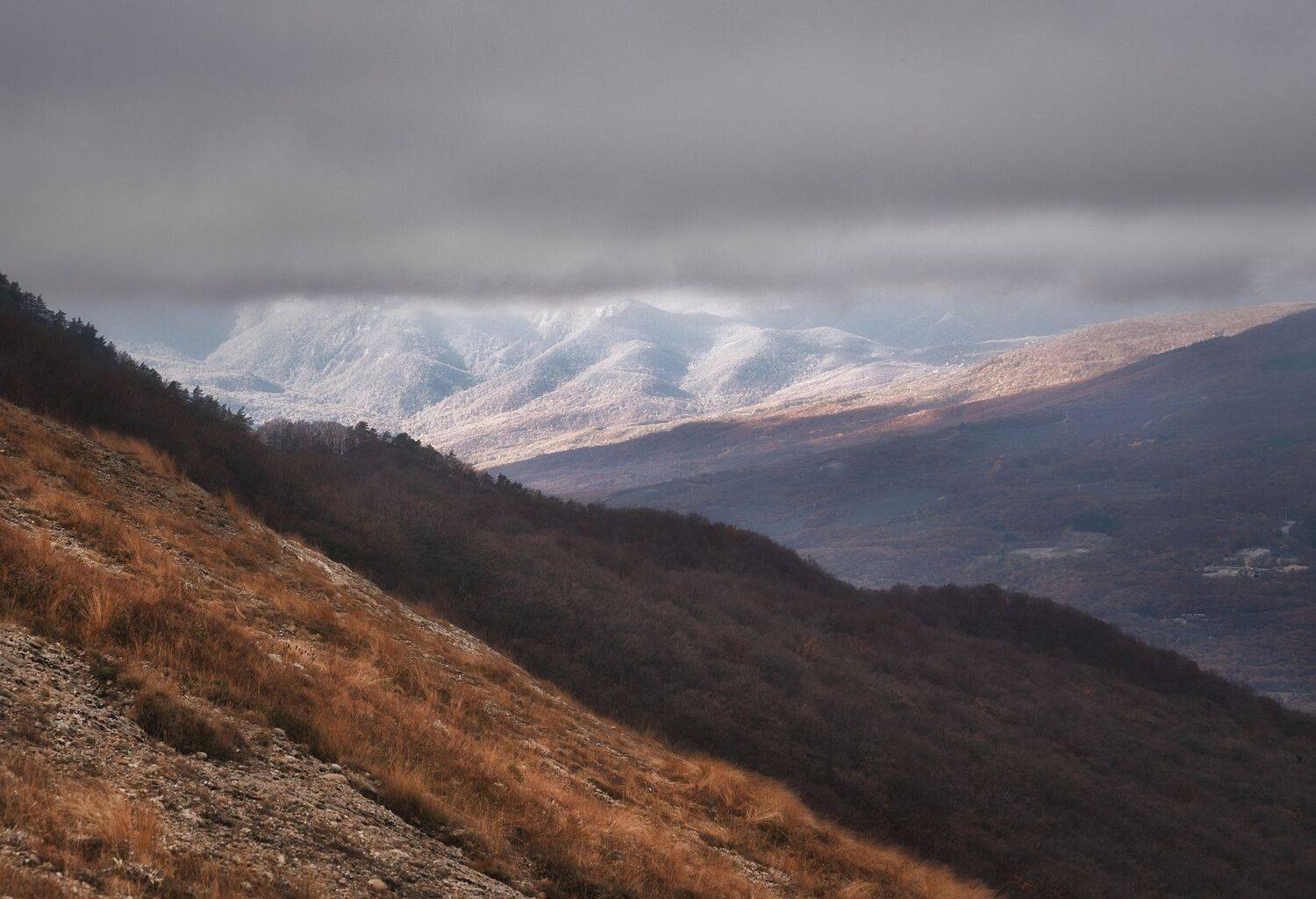 , Константин Дэм