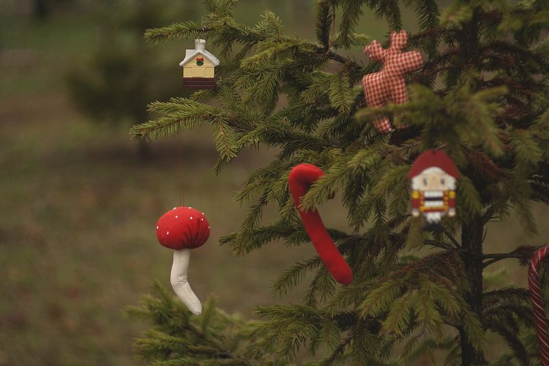 натюрморт, новый год В лесу она росла... там и осталась) фото превью