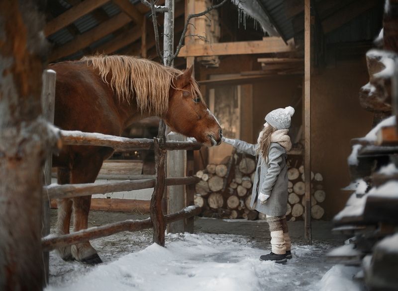 фото превью