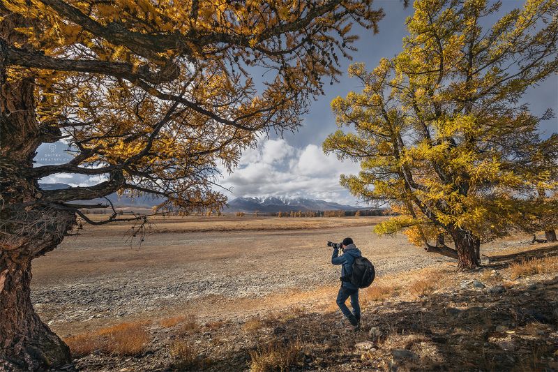 Фотография осени фото превью