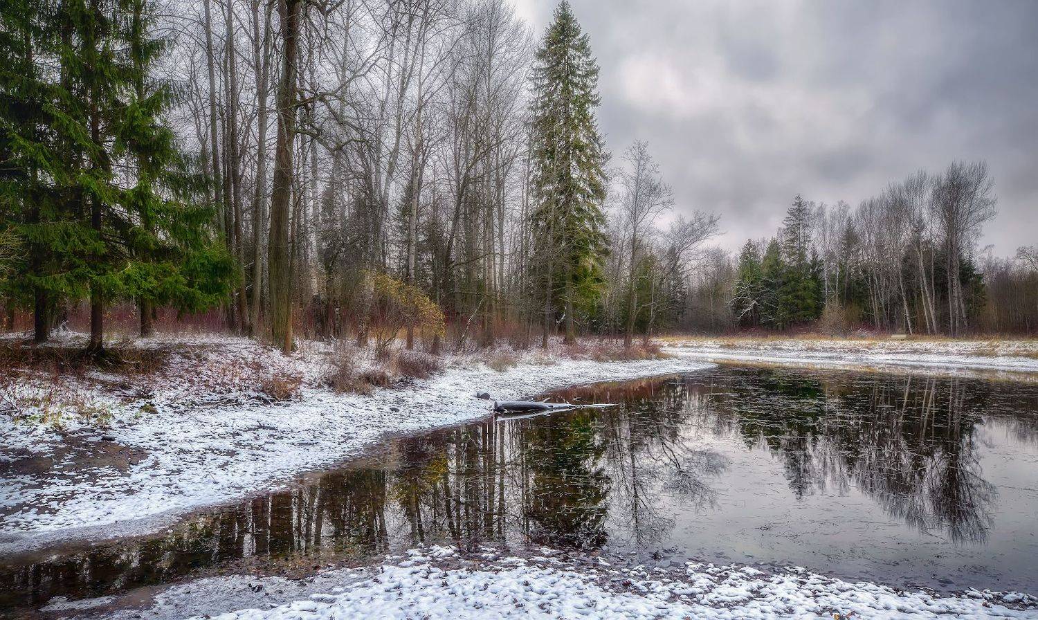 снег пруд пушкин октябрь, Скороходов Константин