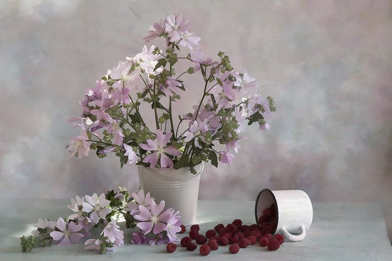 фото превью