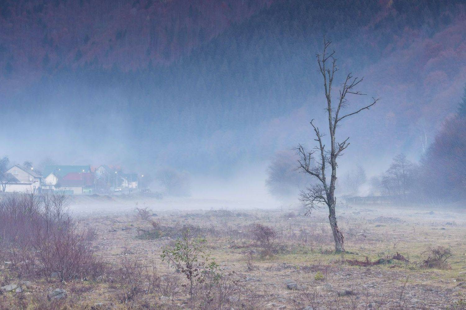 вечер, вода, горы, карпаты, ноябрь, осень, река, туман, украина, Вейзе Максим