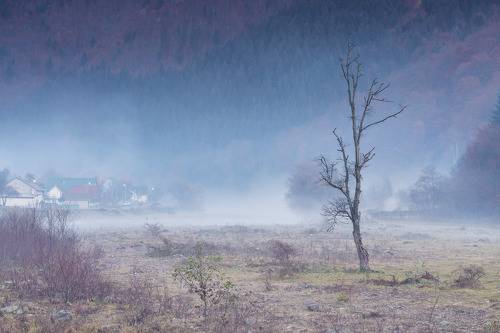 Осенняя меланхолия