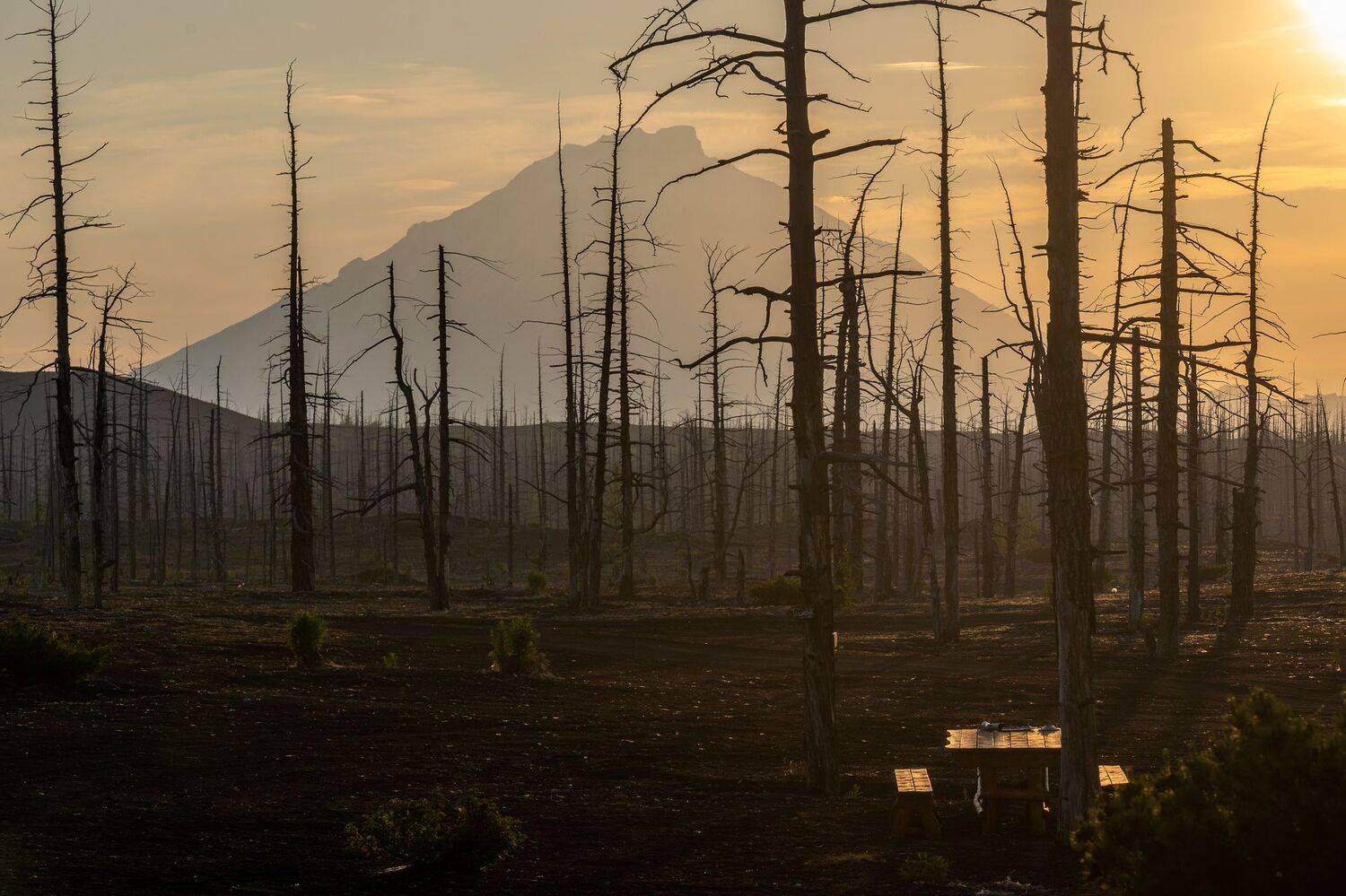 мёртвый лес, камчатка, толбачик, рассвет, солнце, вулкан, восход, kamchatka, volcano, sunrise, tolbachik, Баландин Дмитрий