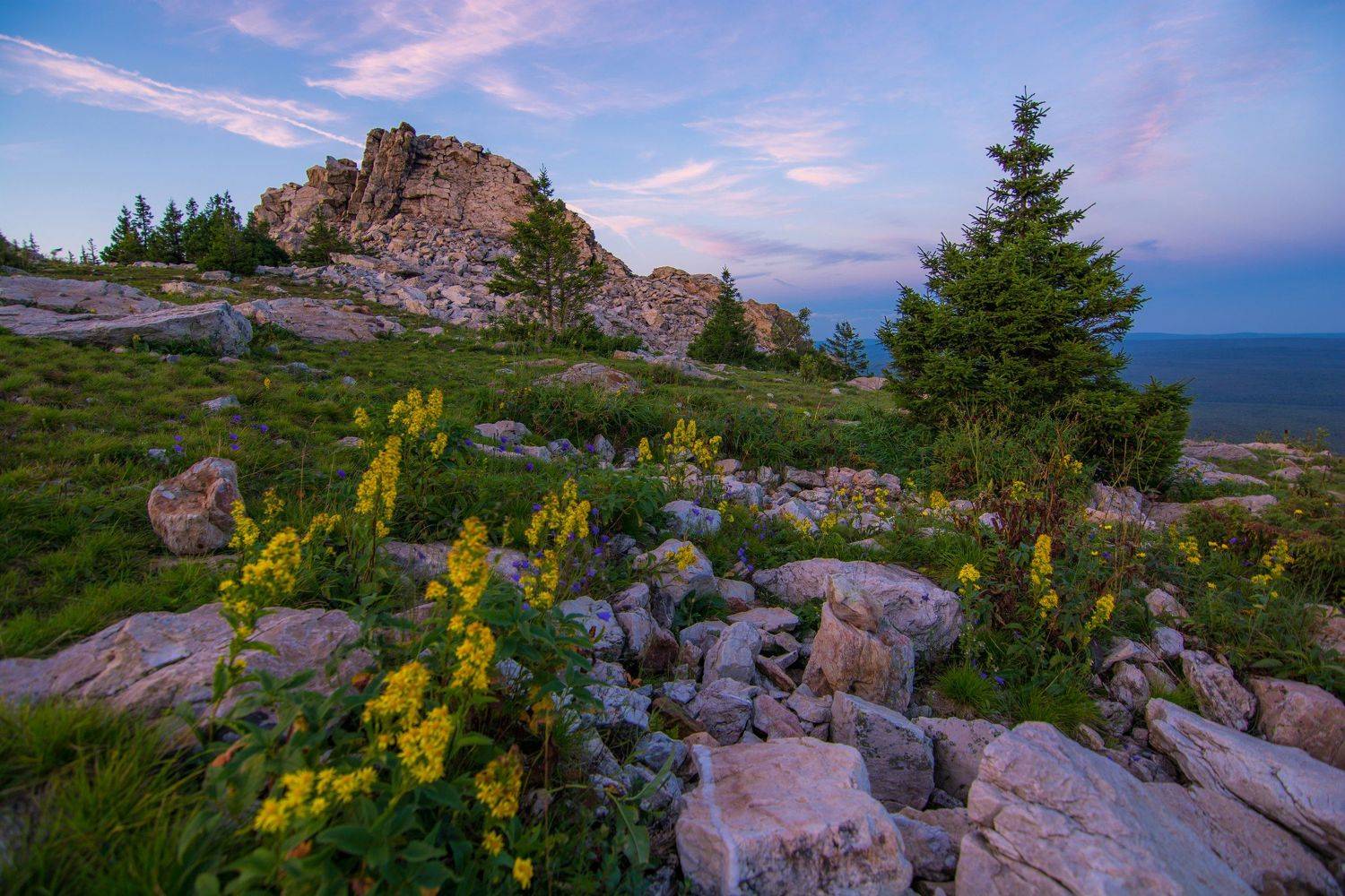 , Максим Ватрушкин