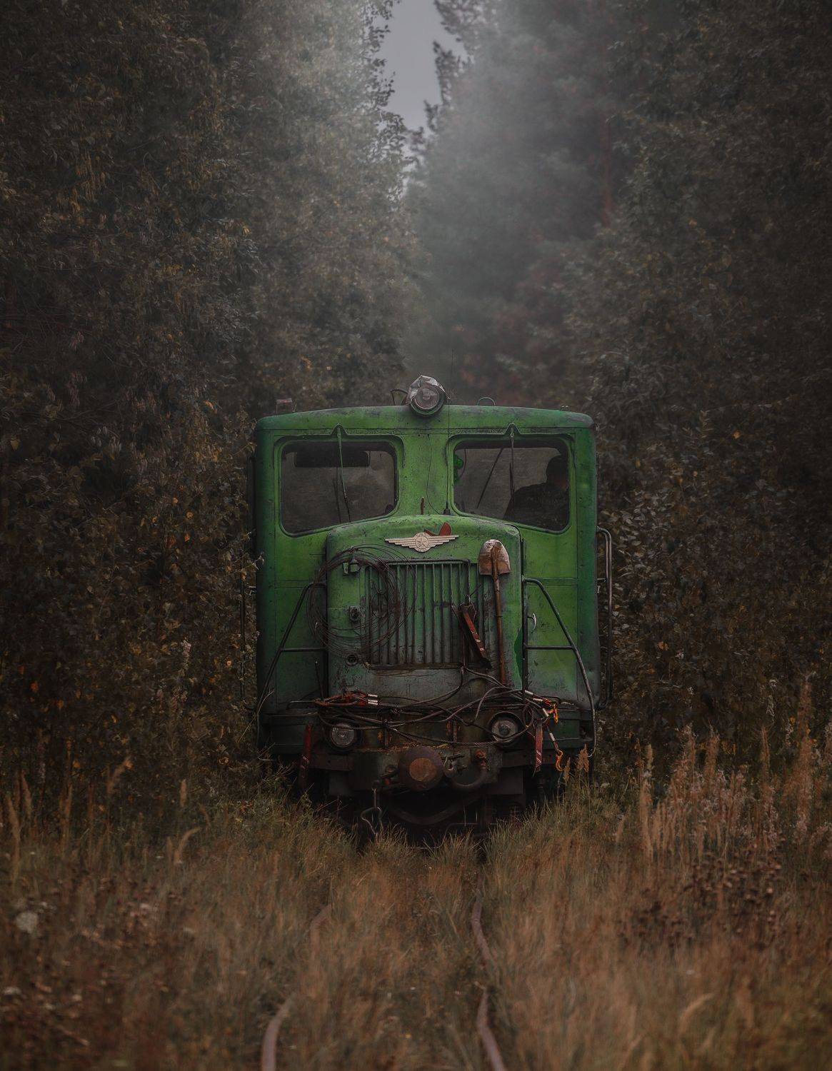 , Евгений Чикишев