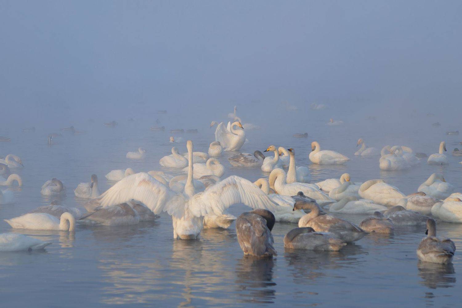 , Евгений Зинов