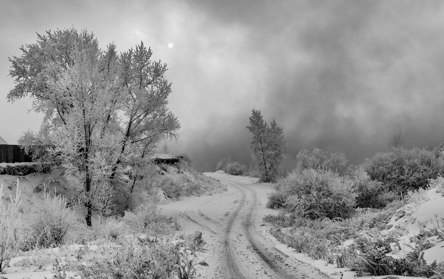 , Валерий Туманов