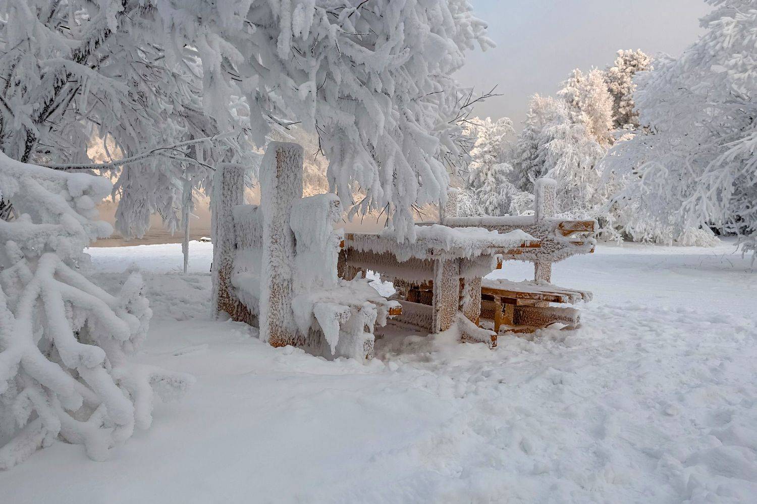 енисей, мороз, изморозь,, Марина Фомина