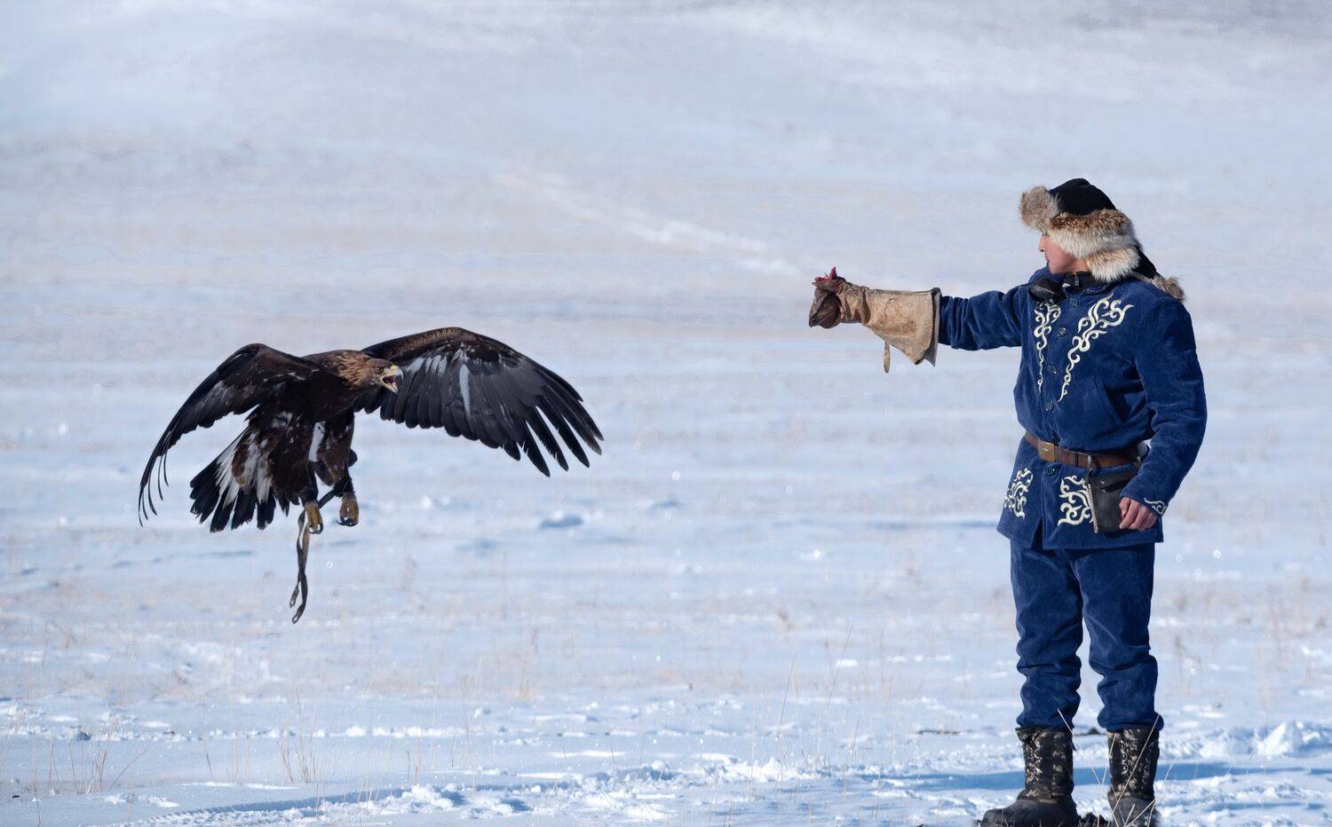 спорт, Евгений Дроботенко