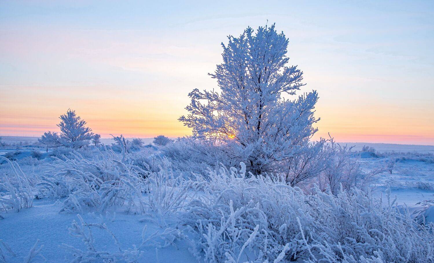зима, Евгений Дроботенко