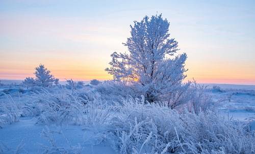 Морозным утром