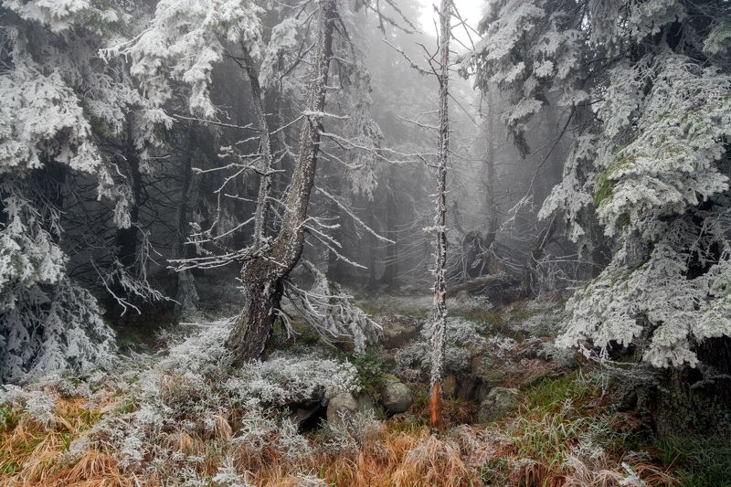 Ноябрь 2021 фото превью