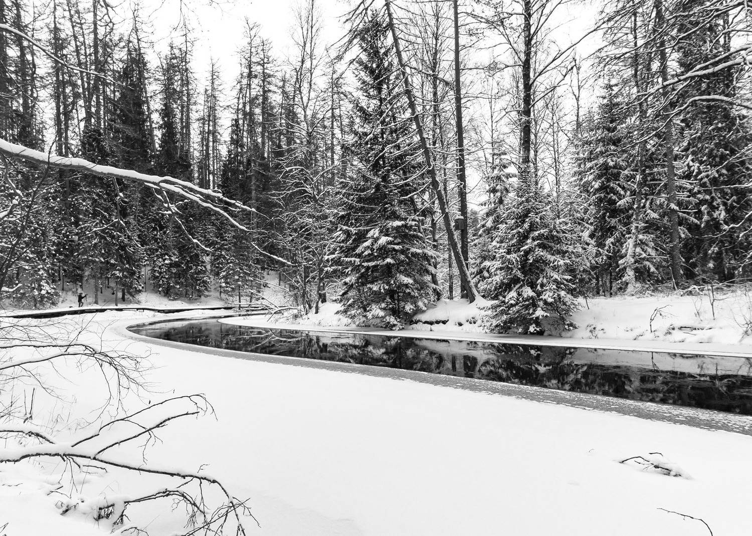 , Алексей Герасимов