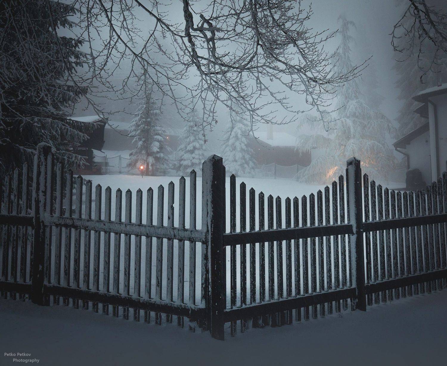 , Петко Петков