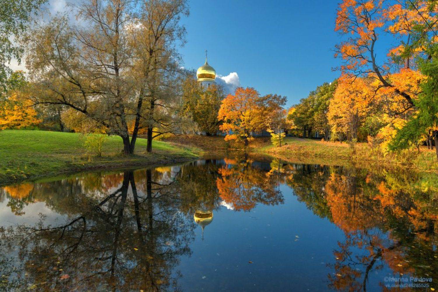 город, городской пейзаж, архитектура, город пушкин, царское село, собор феодоровской иконы божией матери, храм, церковь, золотая осень, пригороды санкт - петербурга, nikon, Павлова Марина
