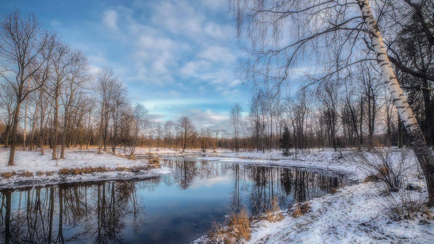 ноябрь пушкин александровский парк пруд вечер, Скороходов Константин