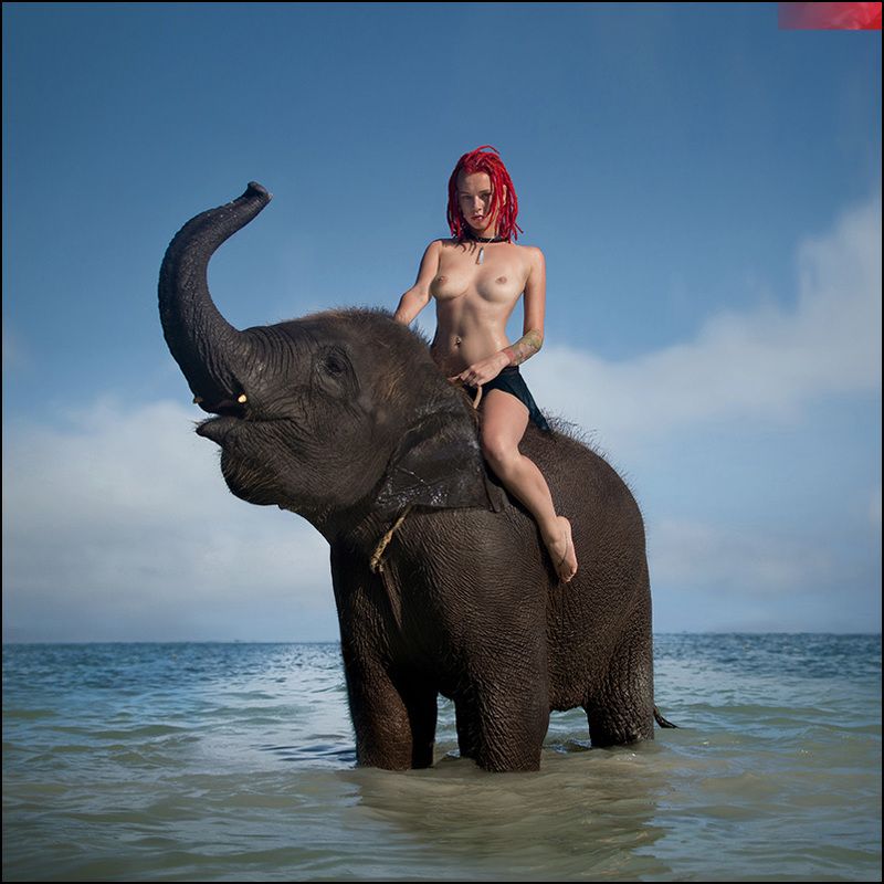 JUMBO © фото превью