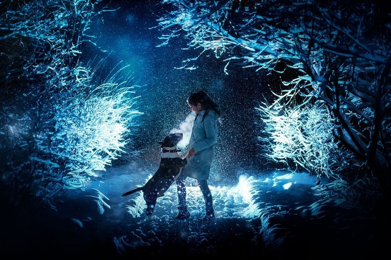 девушка, собака, зима, снегопад, ночь, дружба, любовь, бультерьер, питомец В студеную зимнюю пору... фото превью