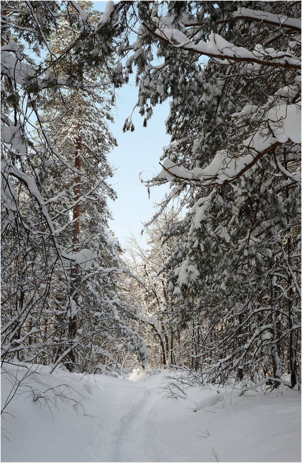 , Владимир Краснов