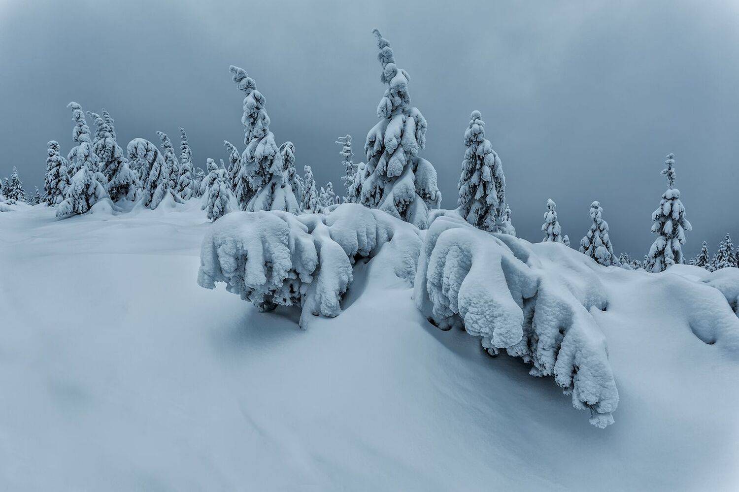 landscape,winter,mountains,canon, Iza i Darek Mitręga