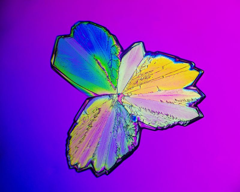 Xylitol under the microscope фото превью