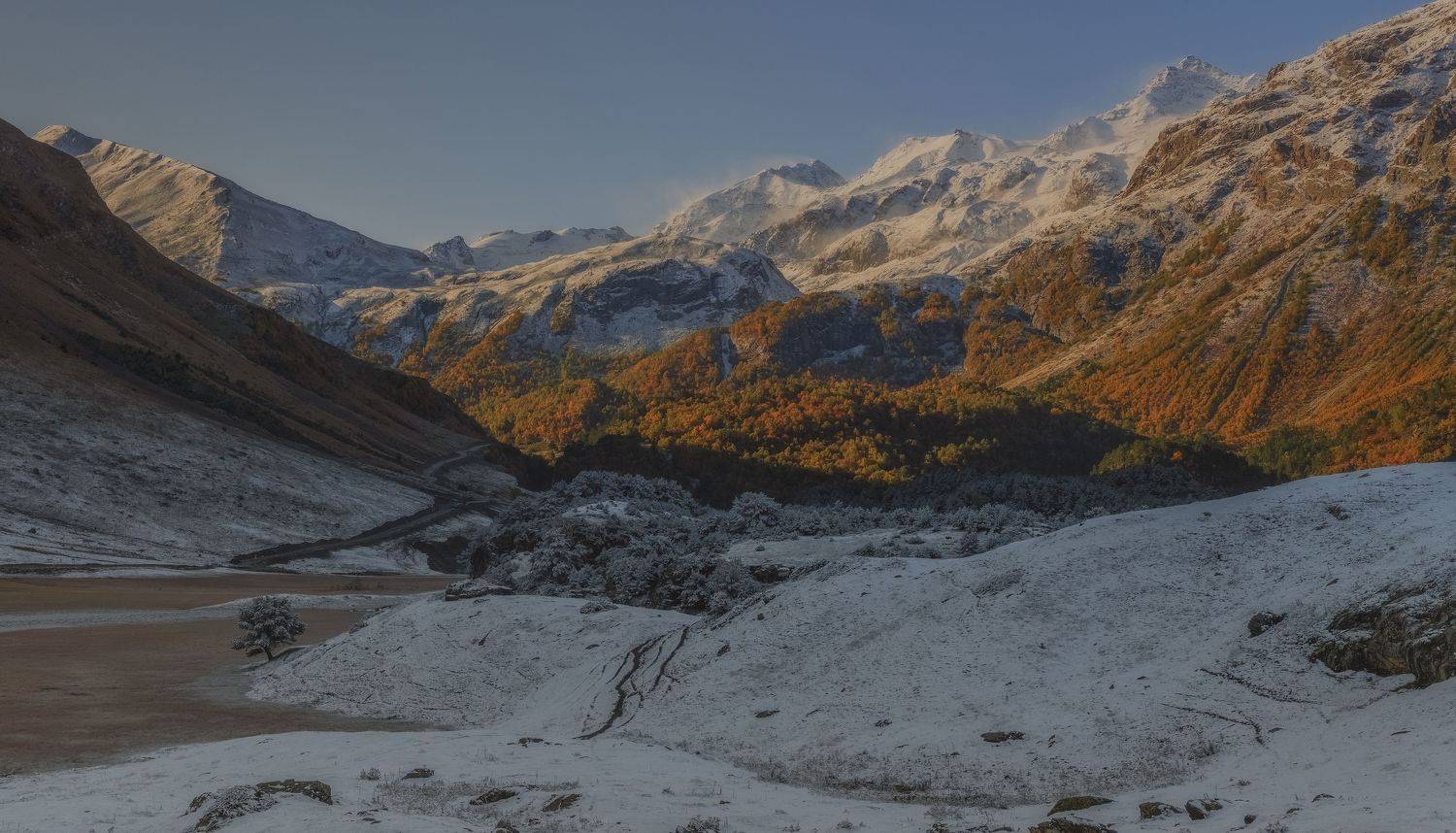 , ДМИТРИЙ ПУЗЕНКО