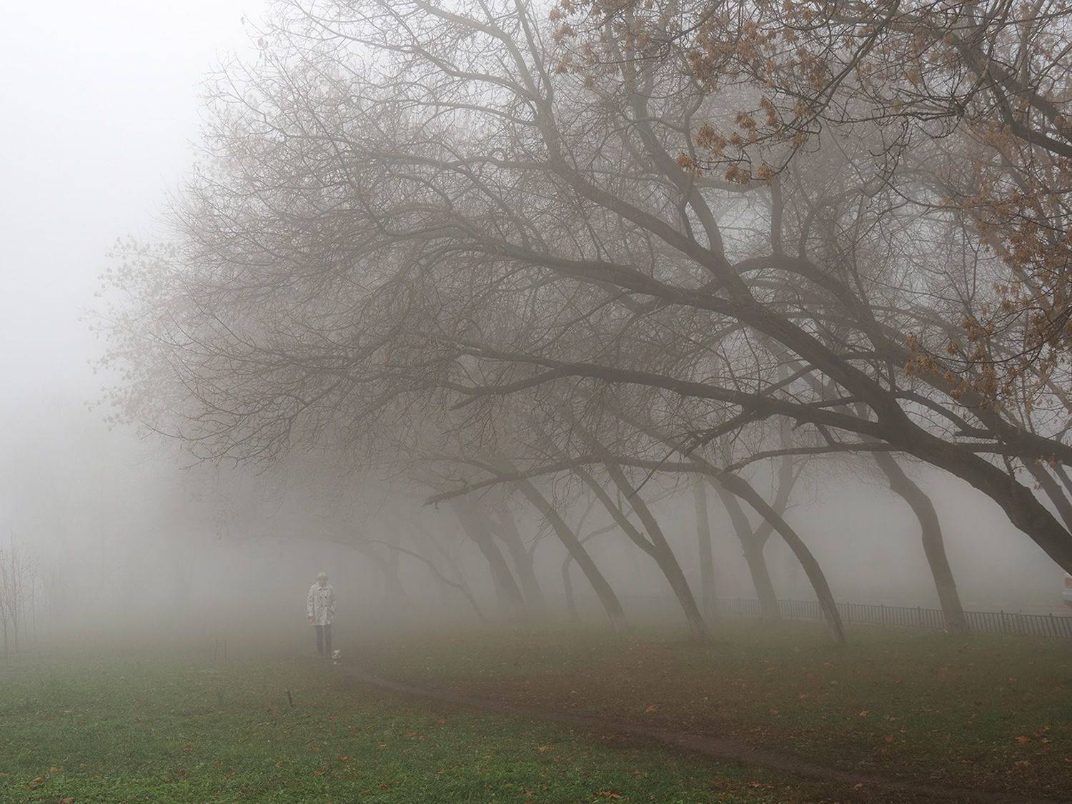 , Сергей Духанин