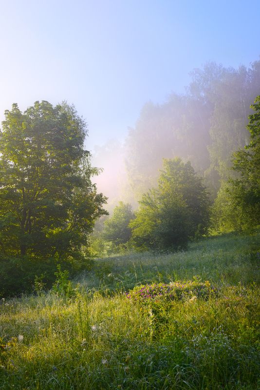 Лето. фото превью