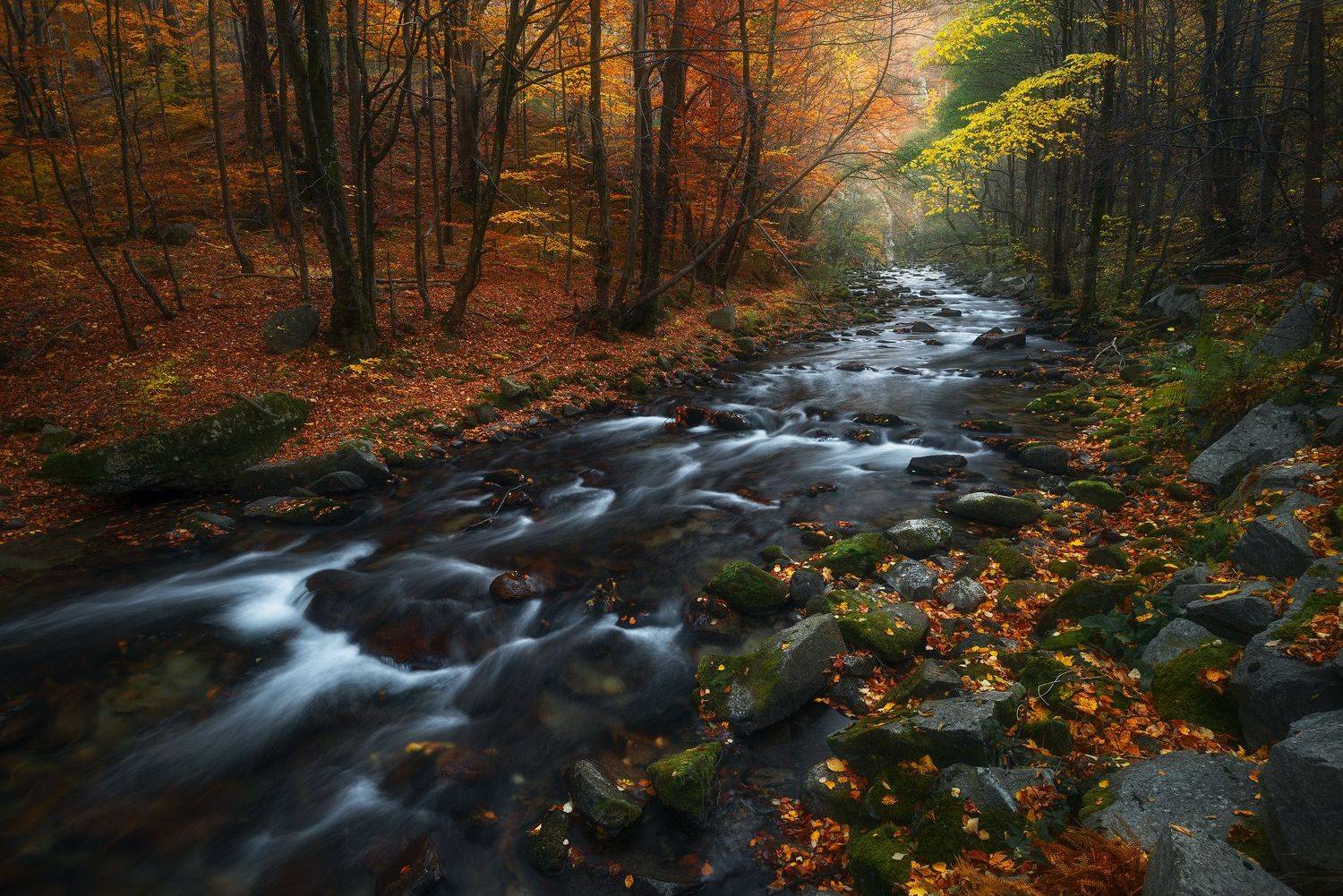 , Szabo Zsolt Andras