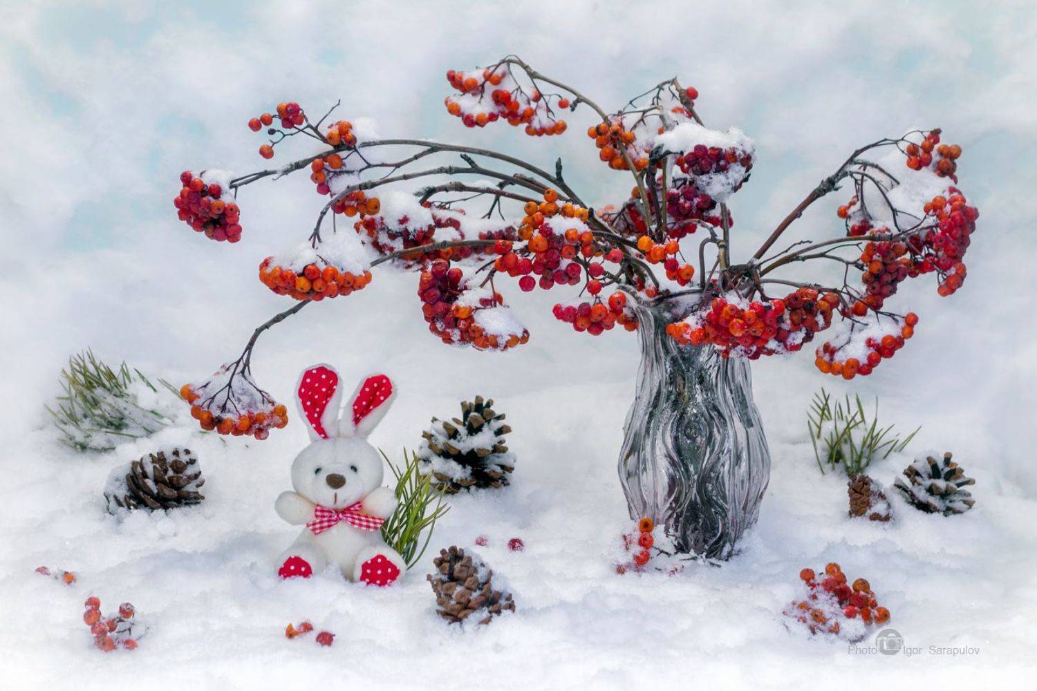 снег, рябина, открытка, натюрморт,  настроение, зима, сюжет, празник, чудеса, новогодняя открытка, зимняя сказка, новогоднее поздравление, новый год, christmas story, new year, новогодняя сказка, Сарапулов Игорь