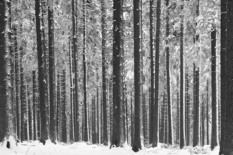 2021 фото превью