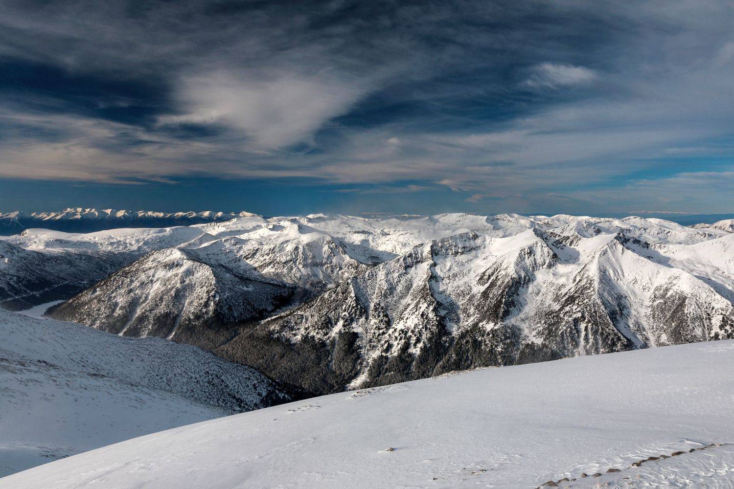 , Александър Сандев