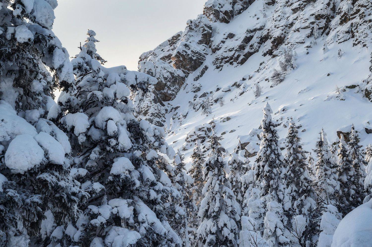 таганай, откликной гребень, зимний пейзаж, Елена Соколова