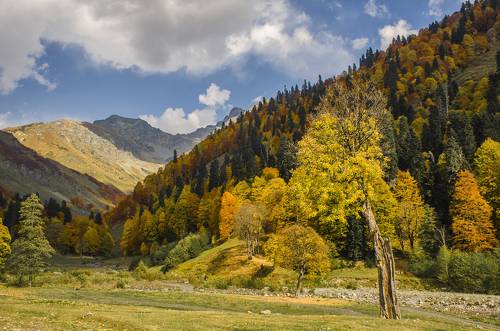 Осень в Абхазии